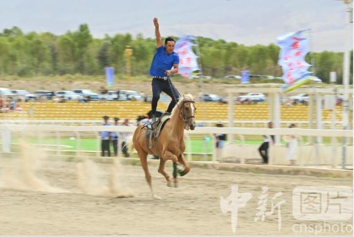 图为骑手展示骑术。 中新社记者 李亚龙 摄
