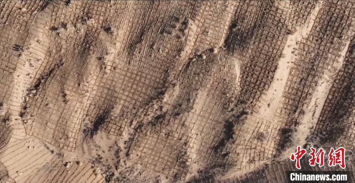 图为航拍下的草方格沙障。凉州区林草局供图