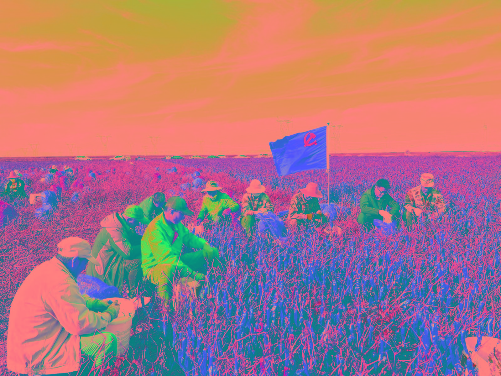 1729562963625067.jpg