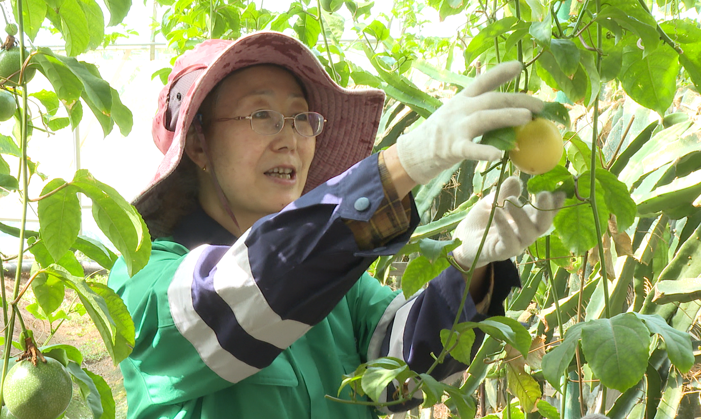 （拟发明日四版民生）(1240359)-20250725094757.png