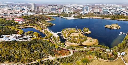 binary_middle (2).jpg