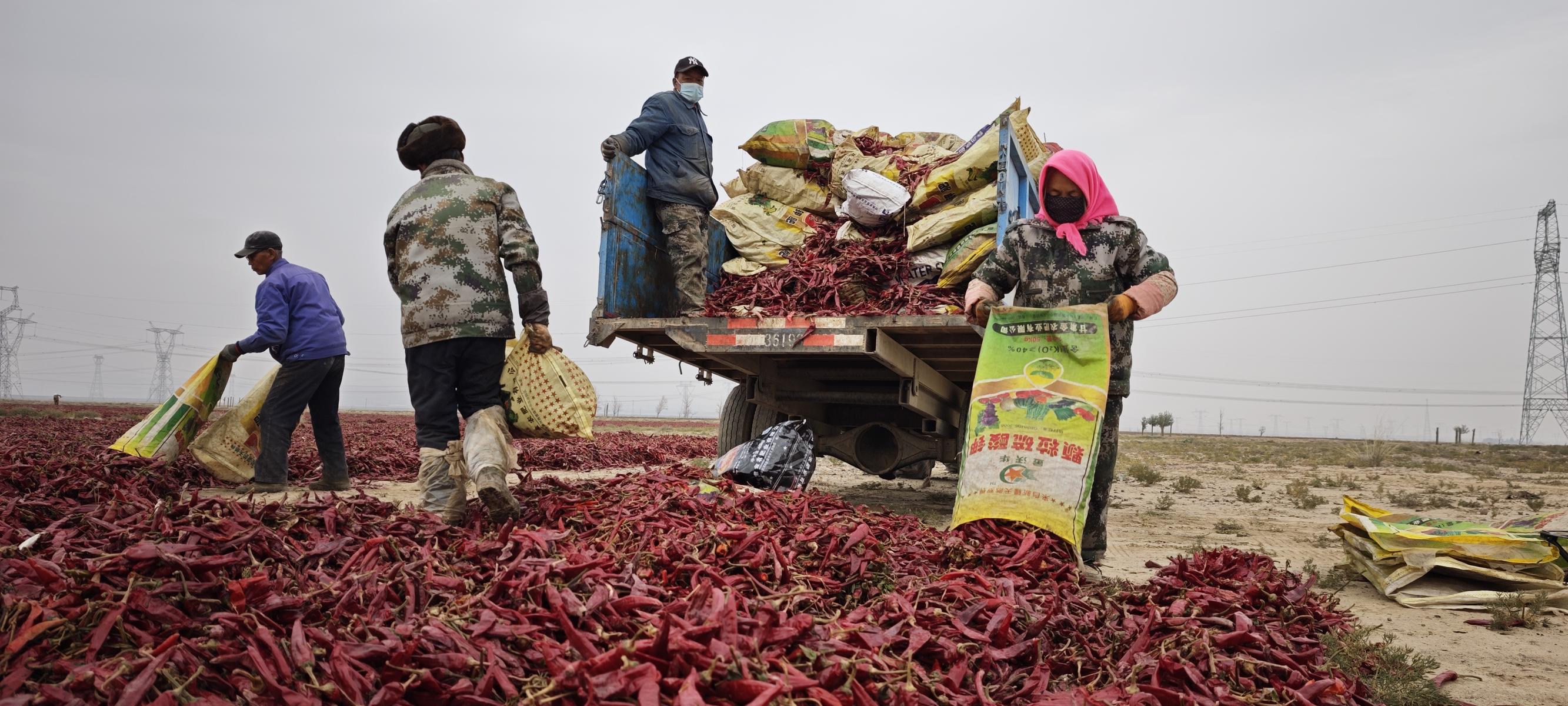 1762475445281232.jpg 15a9ddb7-f3a0-4666-a071-3a85353e83e6_l.jpg