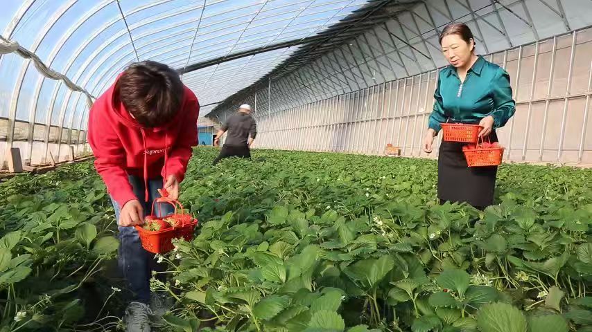 微信图片_20251219085006_6_181.jpg